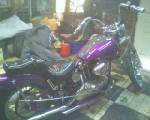 1976 Ironhead Harley Davidson Sportster 
