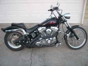 2000 Harley Davidson Softail Standard with an 88 cubic inch twin cam with Arlen Ness 3 inch forward control extensions