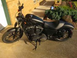 Custom 2010 Harley Davidson Sportster Iron 883 