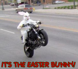 easter-bunny-motorcycle-wheely.jpg