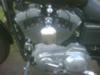 2002 Harley Davidson 1200 Sportster Engine
