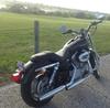 2009 Harley Sportster  XL 883 Custom