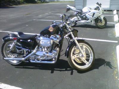 1989 Harley Davidson Sportster 1200 Custom