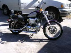 2002 Harley Davidson Sportster 1200 XLT 
