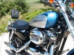 2005 Harley Davidson 1200 Custom Sportster