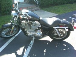 2005 Harley Davidson Sportster 1200 Low