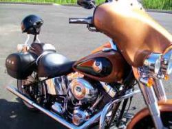 2008 Harley Sportster Softail 