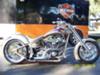 CUSTOM 2004 SPECIAL CONSTRUCTION MOTORCYCLE by EXTREME CUSTOMS CYCLES 
