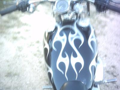 1997 Harley-Davidson Sportster 1200 Custom XL 20K Fuel Tank Artwork 