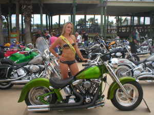 Custom 1997 Harley Davidson Fatboy for Sale - Planet Green Pagan Gold House of Kolor Motorcycle Paint (this photo is for example only; please contact seller for pics of the actual motorcycle for sale in this classified)  