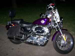 Custom Candy Purple 2002 Harley Davidson HD Sportster for Sale 
