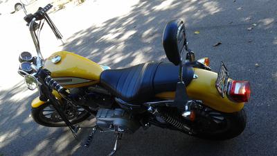 Custom 2005 Harley-Davidson Roadster (XLR) 1200 sportster  metallic yellow paint job