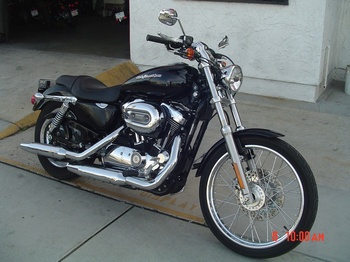 2007 Harley  Davidson Sportster 1200 