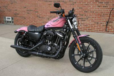 Custom 2017 Harley Iron 883 Sportster for Sale artwork by tattoo artist Meagan Massacre pink and black