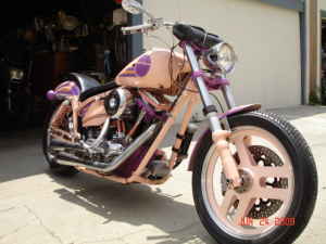 Custom FXR Harley Davidson Motorcycle