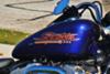 1999 Harley Davidson Sportster Hugger Fuel Tank and Handlebars