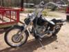 2000 Harley Davidson Softail Standard 