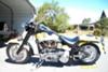 2000 Harley Davidson Fatboy Custom