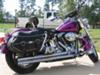 2001 Harley Davidson Heritage Softail Classic Motorcycle Candy Purple Paint Skull Ghost Tank  and  Fender