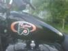 2002 Harley Davidson 1200 Sportster Fuel Tank Graphics