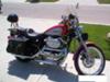 2002 Harley Davidson 1200 Sportster XL
