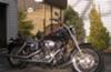 2002 Harley Davidson Lowrider Rider FXDL 1450. Black with red stripes (this photo is for example only; please contact seller for pics of the actual motorcycle for sale in this classified)