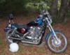 Blue on Black 2004 Harley Davidson 1200 Custom
