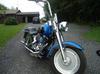2004 Harley Davidson Fatboy Softail