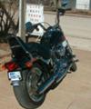 2007 Harley Davidson FXSTC Softail Custom