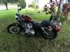 2008 Harley Davidson 883 Sportster Low
