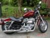 2008 Harley Davidson Sportster XL883 L 