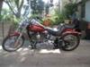 2009 Harley Davidson Softail Custom FXSTC