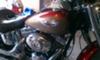 2009 Harley Davidson Softail Deluxe FLSTN Fuel Tank Red Hot Sunglo/Smokey Gold Two Tone Paint Color