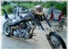 custom alligator chopper straight out the swamps of Louisiana