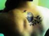 My Bat Tattoo on my Upper Back.  They come at Dusk!  Thanks Kat! 