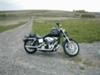 2002 HARLEY DAVIDSON  Dyna Low Rider 1450 