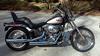 2007 Harley Davidson Softail Custom ridden and maintained like royalty