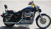 2008 Harley Davidson XL1200C Sportster Custom