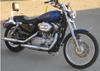 2008 Harley Davidson Sportster XL 883 w Electric Blue Paint Color