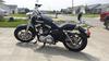 2014 Harley Davidson Sportster Custom 1200 for sale by owner